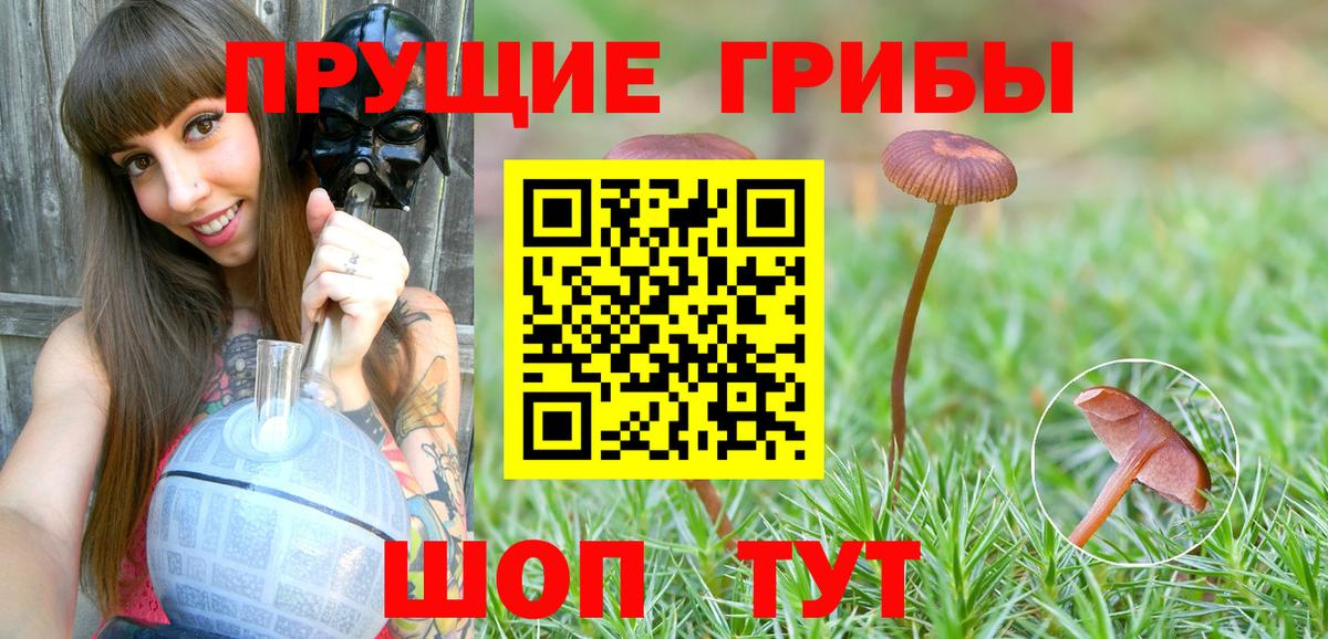 Галлюциногенные грибы MAGIC MUSHROOMS  Вход с VPN  Еманжелинск  Псилоцибиновые грибы Magic Shrooms 